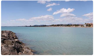 ‘నో పెళ్లి’ సాంగ్.. పాటలో రచ్చ చేసిన రానా, వరుణ్‌లు