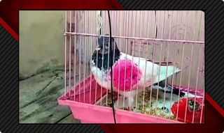 ‘మా ఉద్యోగులను వదిలేయండి’.. ట్రంప్ కి ట్విటర్ సీఈఓ కౌంటర్