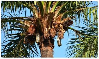 ఊపిరి పీల్చుకుంటున్న కేరళ.. ఆదివారం కేసులు నిల్.. అంతేకాదు..