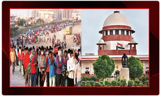 మిడతల దాడిని నియంత్రించడానికి.. ప్రభుత్వ సూచనలు..