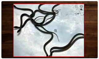 దేశంలో క‌రోనా ప్ర‌మాద ఘంటిక‌లు..  ఒక్క రోజే 6,088 పాజిటివ్ కేసులు