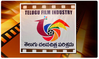 పాక్‌ వైమానికదళంలో తొలి హిందూ పైలట్!