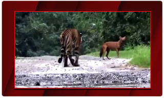 ఢిల్లీలో వడగండ్ల వాన.. భారీ గాలులు