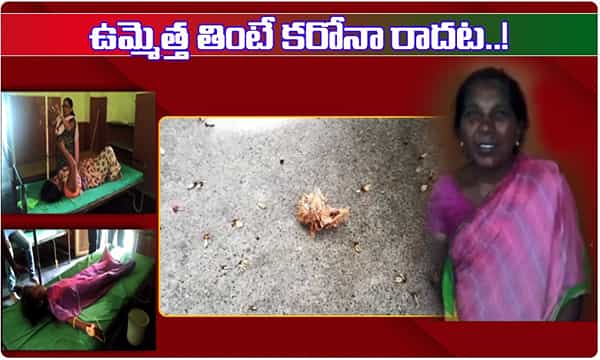 TikTak effect ఉమ్మెత్త తింటే కరోనా రాదట..! చివరికి ఏమైందంటే?