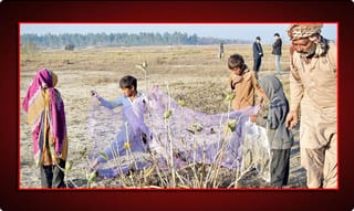 ‘రండి..సమోసాలు తిందాం’.. మోదీకి ఆస్ట్రేలియా పీఎం ఆహ్వానం