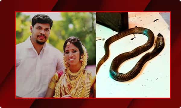 కట్నం కోసం కాలనాగుతో భార్యను చంపిన భర్త