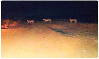 బ్రేకింగ్: విశాఖ వాసులను మరోసారి వణికించిన పొగలు..!