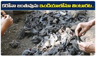 అన్నీ లైట్… మద్యమే హైలెట్..! దుకాణాల ముందు పూజలతో …