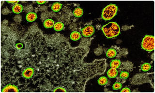 పునరుద్ధరించిన విమానాల్లో ప్రయాణికుల సందడి