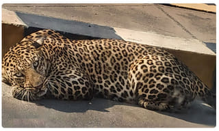 కరోనా అలర్ట్: భారత్‌లో సామూహిక వ్యాప్తి ముప్పు..?