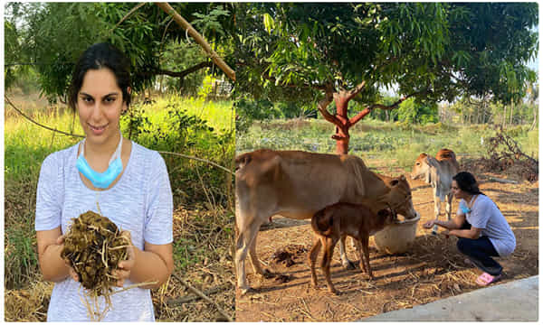 ఆవుకు మేత వేసి.. పేడ ఎత్తిన మెగా కోడలు..