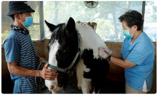 ఏపీ ప్రజలకు గుడ్ న్యూస్.. సీజ్ చేసిన వాహనాలు విడుదలకు గ్రీన్ సిగ్నల్..