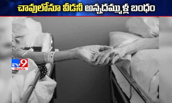చావులోనూ వీడనీ అన్నదమ్ముళ్ల బంధం