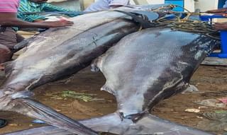 గ్లోబల్ స్పేస్ మార్కెట్ లో ప్రైవేట్ కంపెనీలు ! ప్రభుత్వ యోచన.. ఇస్రో తర్జనభర్జన