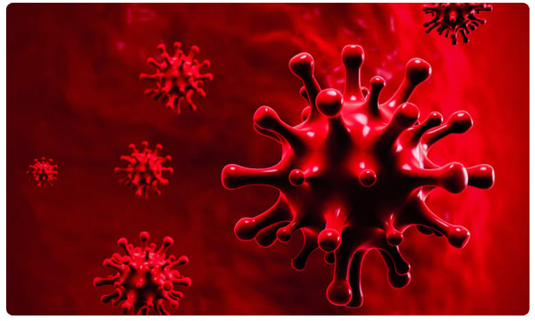 భువనగిరిలో సాఫ్ట్వేర్ ఉద్యోగికి కరోనా పాజిటివ్