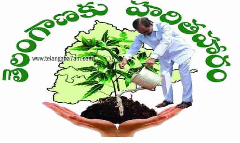 హరితహారానికి ఈ నెల 25న సీఎం కేసీఆర్ శ్రీకారం