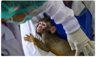 గుడ్‌న్యూస్: కరోనాకు చెక్.. భారత్‌లో యాంటీ వైరల్ డ్రగ్ రిలీజ్..