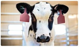 బోనాలు నిర్వహించాలా…? వద్దా..?! … కాసేపట్లో నిర్ణయం..