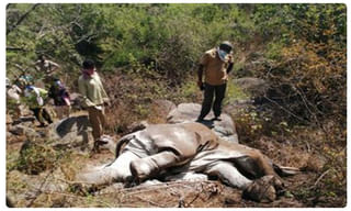 భారీగా కల్తీ నెయ్యి స్వాధీనం.. నలుగురు అరెస్ట్..