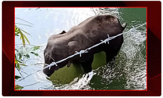 లోకల్ ట్రిప్స్ పై ఐఆర్సీటీసీ ఫోకస్..!