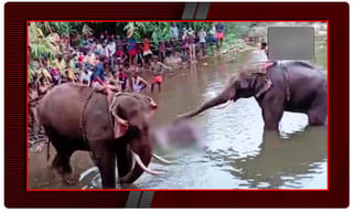 ఏపీ ప్రజలకు గుడ్ న్యూస్.. అంతర్రాష్ట్ర సర్వీసులు షురూ.. కానీ!