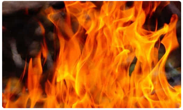 అనంతపురం మల్బరీ షెడ్లో భారీ అగ్నిప్రమాదం