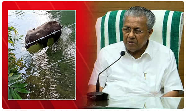 ఏనుగును చంపినవారిపై కఠిన చర్యలు.. కేరళ సీఎం పినరయి విజయన్