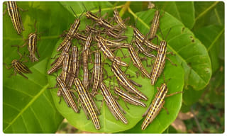 ఇంటర్ బుక్స్‌కి ఇక కొత్త కోడ్.. అదేంటంటే!