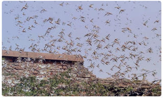 లదాఖ్ లో మళ్ళీ చైనా నిర్మాణాలు.. స్పష్టంగా చూపుతున్న శాటిలైట్ ఇమేజీలు