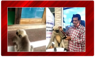 గుడ్ న్యూస్.. ఇకపై మూడు రోజుల్లోనే పెన్షన్ విత్ డ్రా..