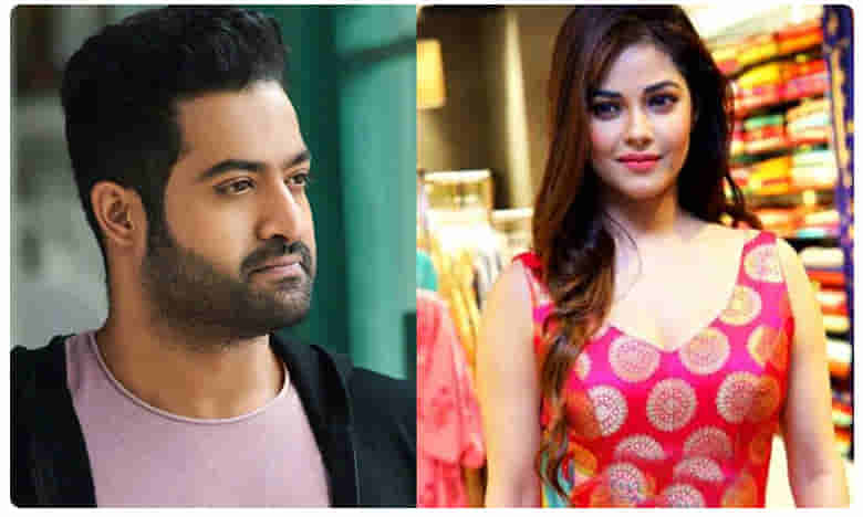 ఎన్టీఆర్ ఫ్యాన్స్ వేధింపులు.. నటి మీరా చోప్రా పెట్టిన కేసు ఢిల్లీకి బదిలీ..