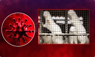 కరోనా ఎఫెక్ట్: టెన్త్‌ పరీక్షల నిర్వహణపై రేపు సీఎం కేసీఆర్‌ సమీక్ష