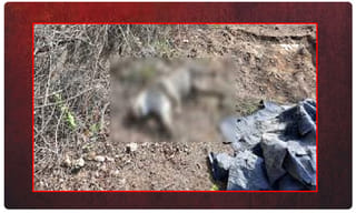 ఇంట్లోనే అక్రమ మద్యం ఫ్యాక్టరీ.. ఐదుగురు అరెస్ట్..