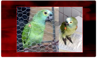 తెలంగాణ టెన్త్ ఎగ్జామ్స్.. కేసు రేపటికి వాయిదా..