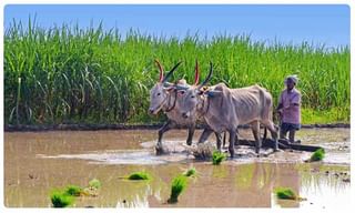 హెచ్‌డీఎఫ్‌సీ బ్యాంకు బంపర్ ఆఫర్.. కేవలం 10 సెకన్లలో లోన్..