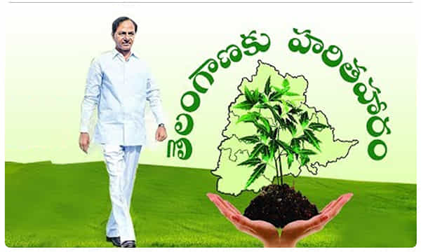 రేపు ఆరో విడత హరితహారానికి సీఎం కేసీఆర్ శ్రీకారం