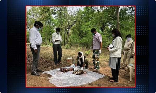 రెండు కూనల్ని చంపిన పులి.. ఎందుకో మరి..?