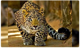 దసరా వరకు స్కూల్స్ తెరిచే ప్రసక్తి లేదు..!