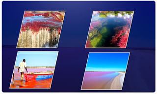 యుఎస్.. హ్యూమన్ స్పేస్ ఫ్లైట్ హెడ్ గా మహిళను ఎంపిక చేసిన నాసా