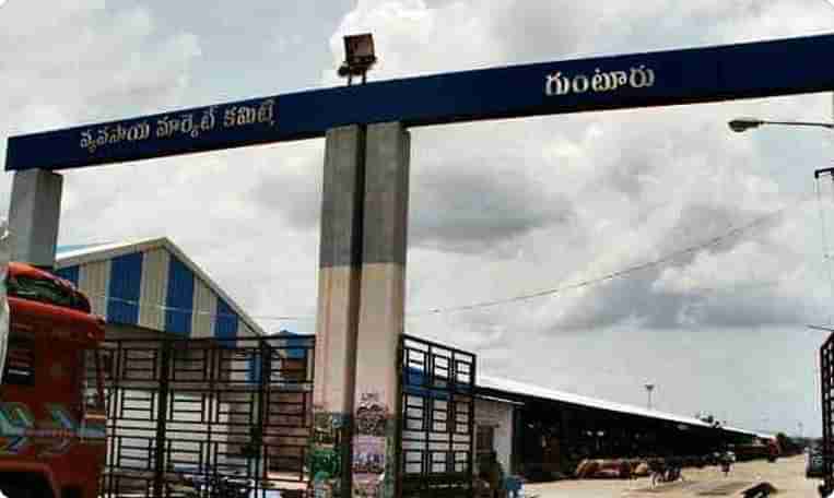 జూన్ 6 వరకు గుంటూరు మిర్చి యార్డు క్లోజ్...