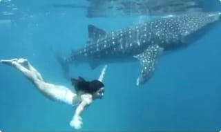 క్వారంటైన్‌కి కుక్కను తీసుకెళ్లిన వ్యక్తి.. పెద్ద కారణమే ఉందండోయ్..!