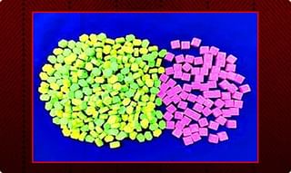 చిరుత చర్మంతో సంచరిస్తున్న వ్యక్తి అరెస్ట్..