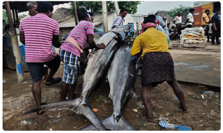 బాలీవుడ్‌లో విషాదం.. యంగ్ కాస్టింగ్ డైరెక్టర్ మృతి