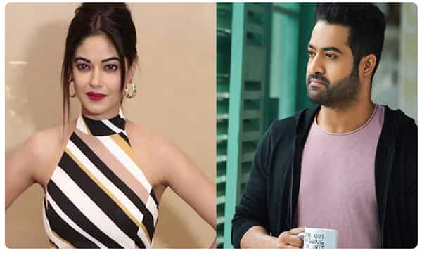 జూనియర్ ఎన్టీఆర్ ఫ్యాన్స్ వర్సెస్ మీరా చోప్రా.. ఇదే జరిగింది !
