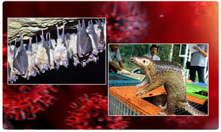 నో కరోనా.. అరవింద్ కేజ్రీవాల్ కి నెగెటివ్