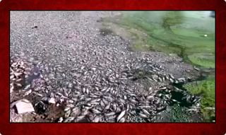 వీకెండ్ గ్రాసరీ ధమాకాః ఒక్క రూపాయికే…నెయ్యి, గోధుమ పిండి, బాదం పప్పు..