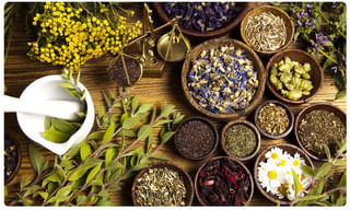 ప్రైవేటు బస్సులకు అనుమతి.. ఇవే నియమ నిబంధనలు