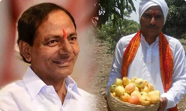 సీఎం కేసీఆర్కు తెలంగాణ ఆపిల్ పండ్లను అందించిన రైతు