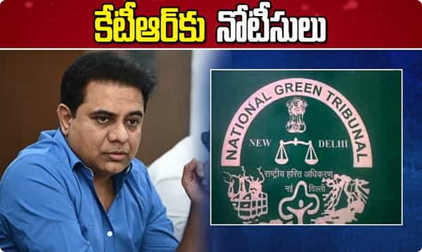 కేటీఆర్కు గ్రీన్ ట్రిబ్యునల్ నోటీసులు
