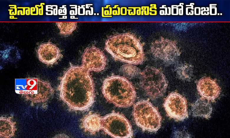 బ్రేకింగ్: చైనాలో మరో కొత్త వైరస్.. మానవజాతికి మరో డేంజర్..